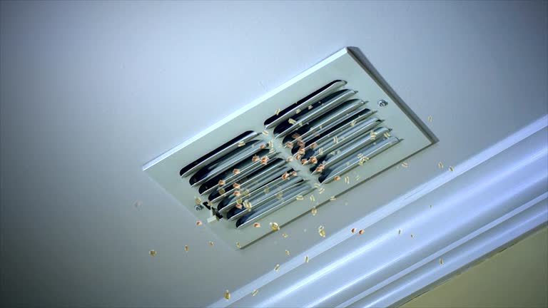 Best Ventilation Cleaning Services  in Marion Oaks, FL